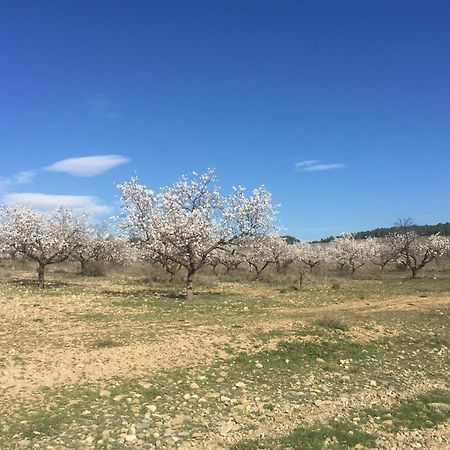 Alojamientos La Alberca Аргедас Экстерьер фото